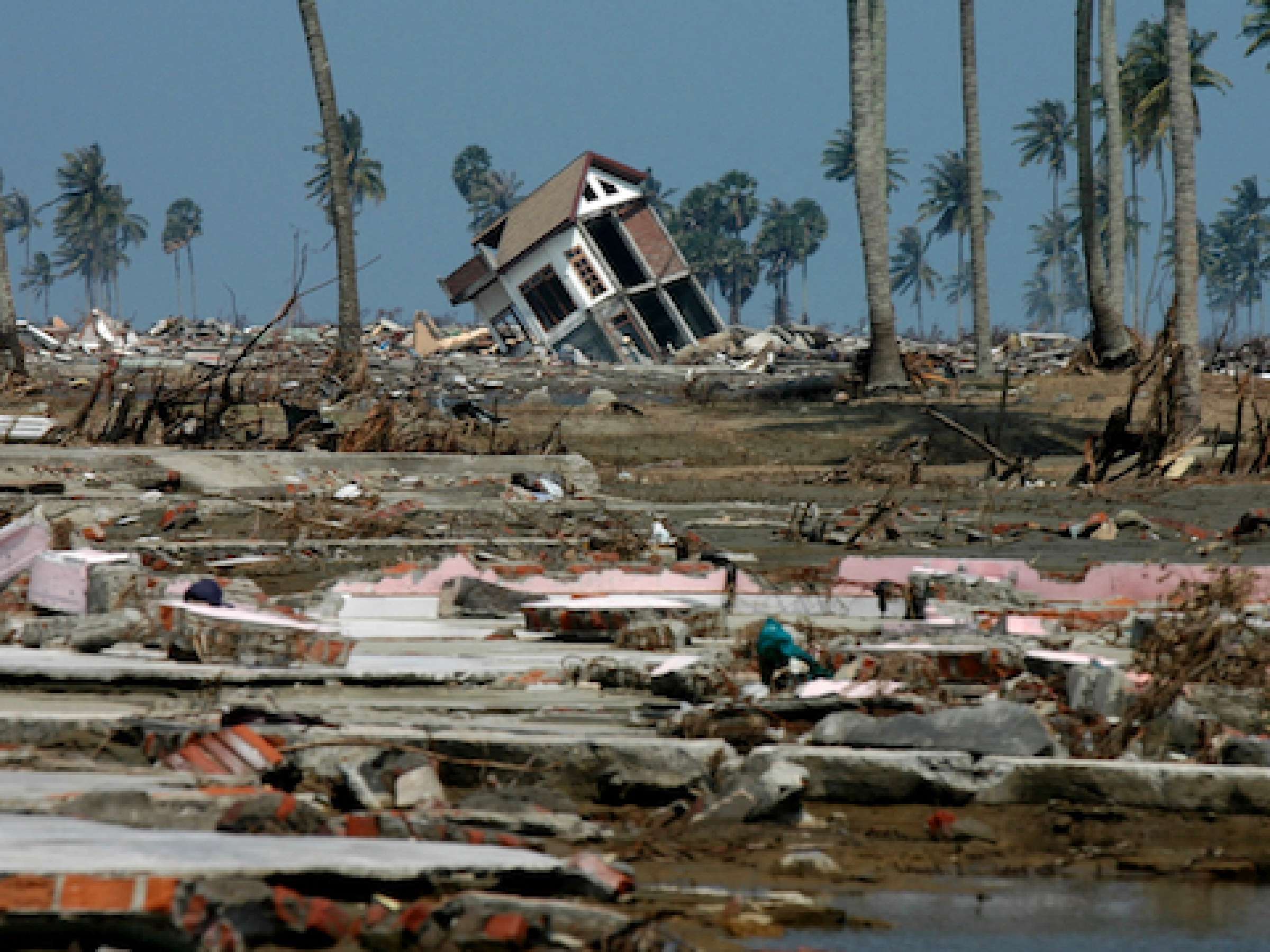  Indian Ocean Earthquake and Tsunami disaster 