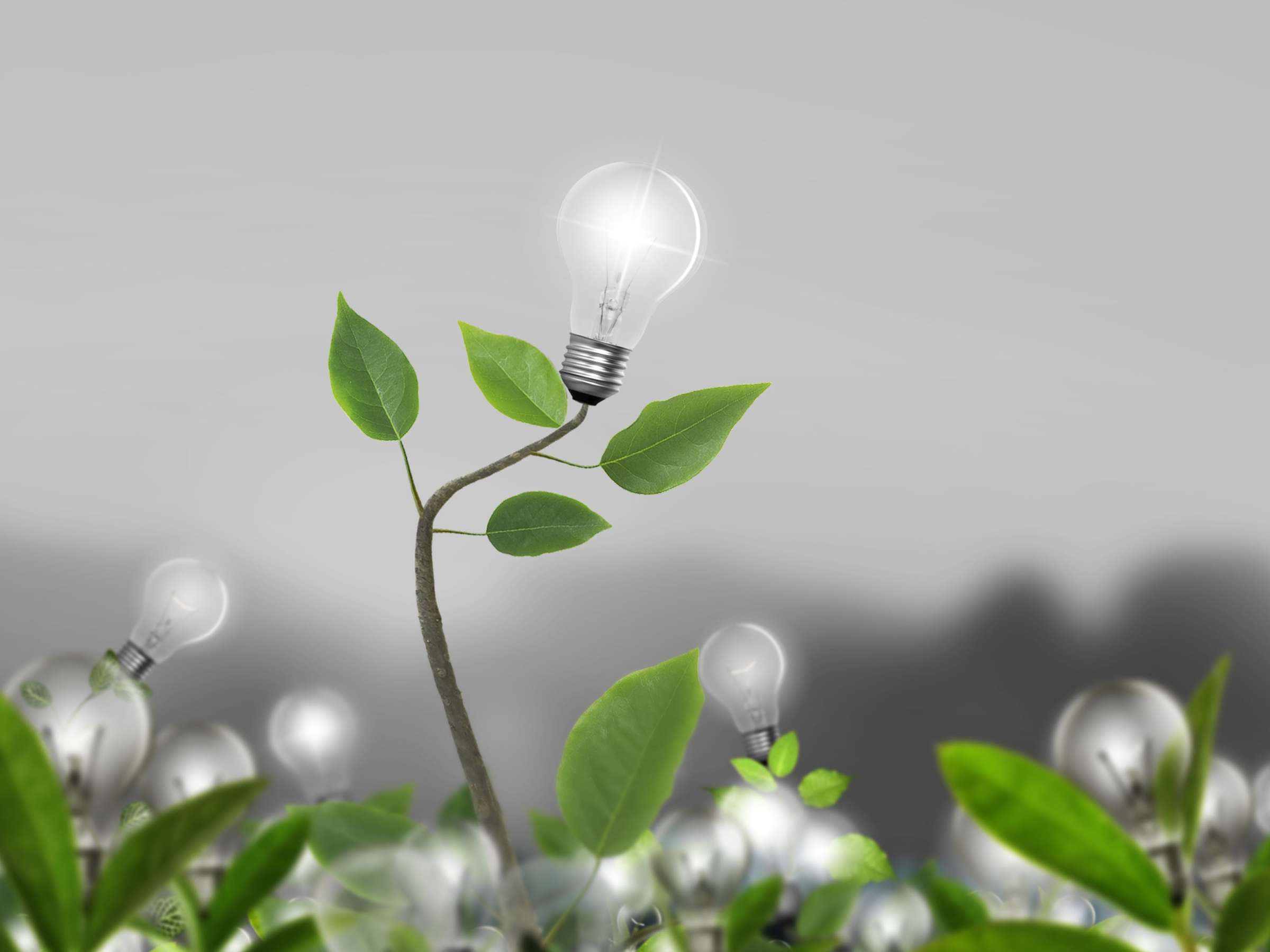 Idea, light bulb Alternative energy concept