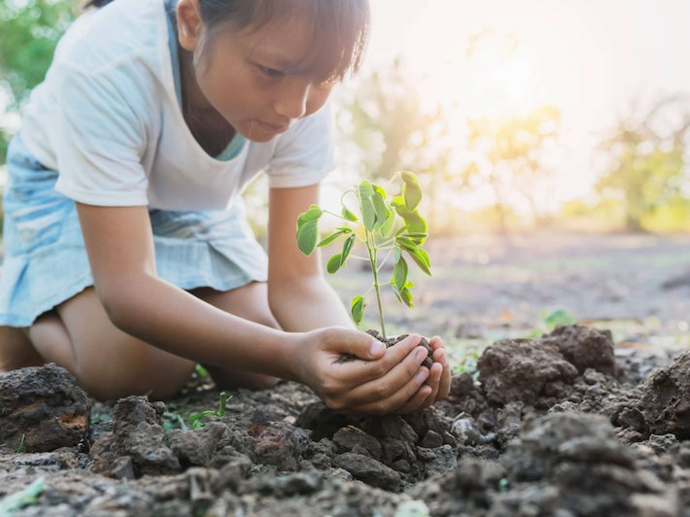 children planting young tree on soil in garden