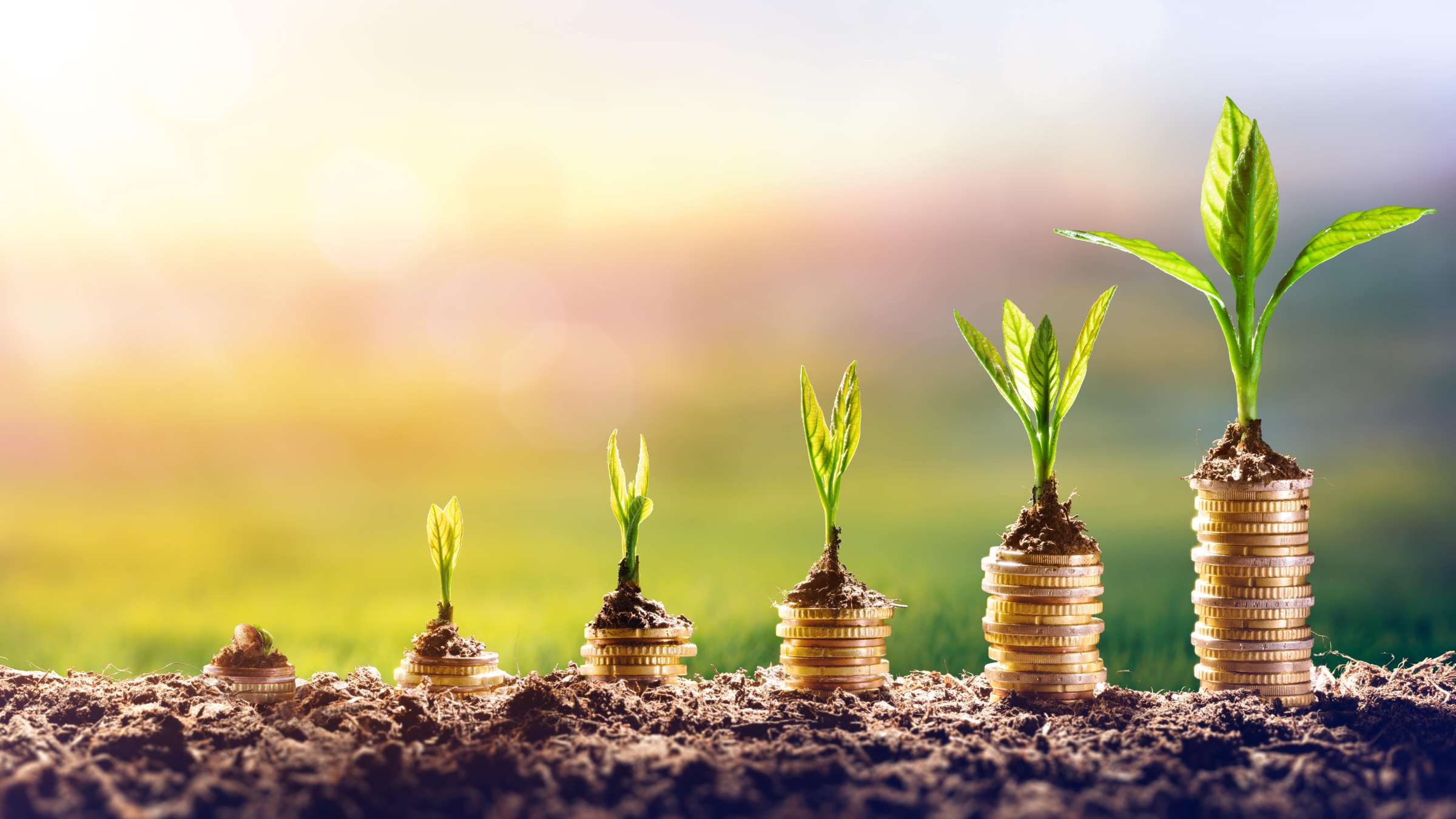 Growing Money - Planting in Coins - Financial and Investment Concept
