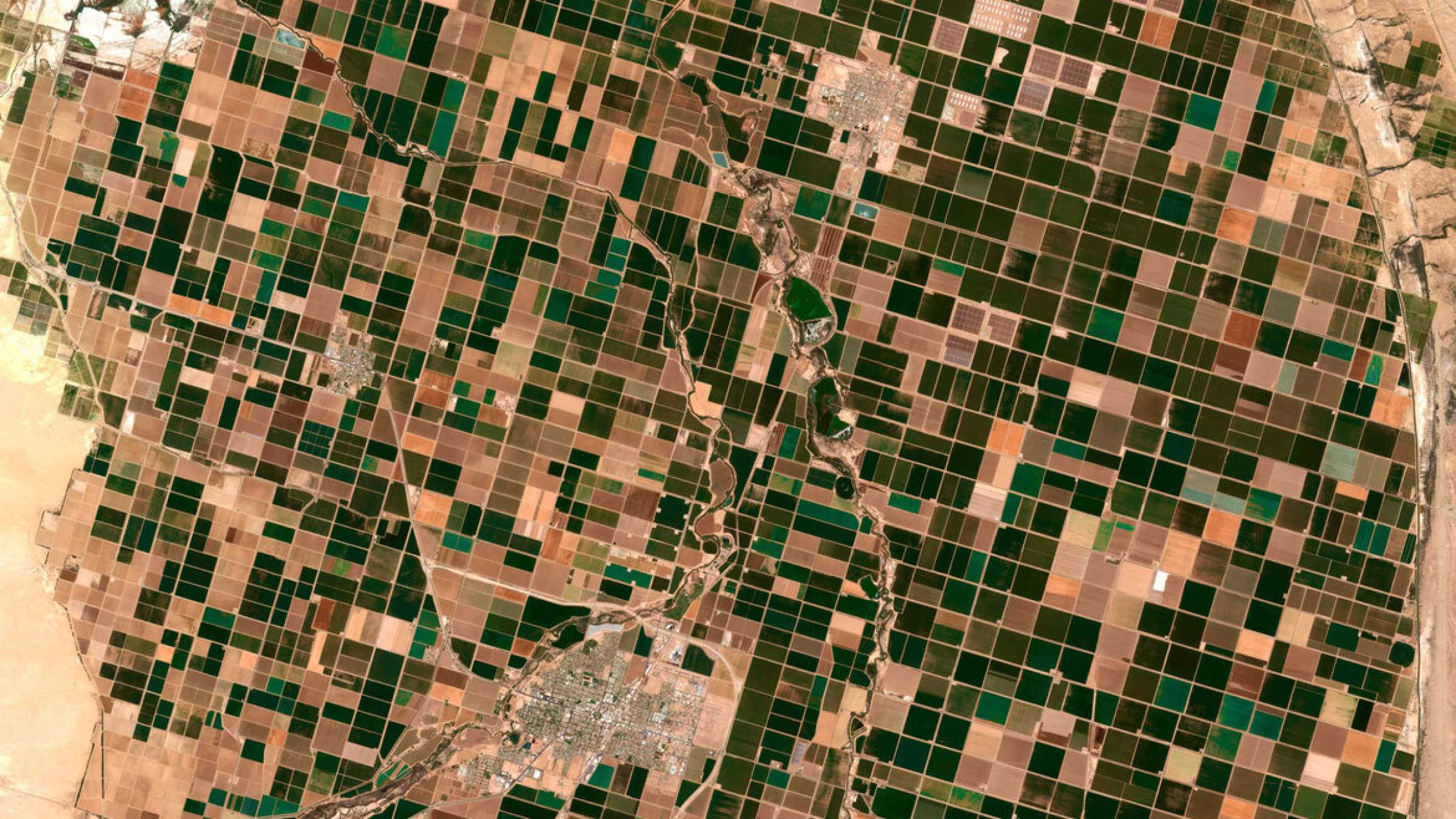 Image satellite of crops.