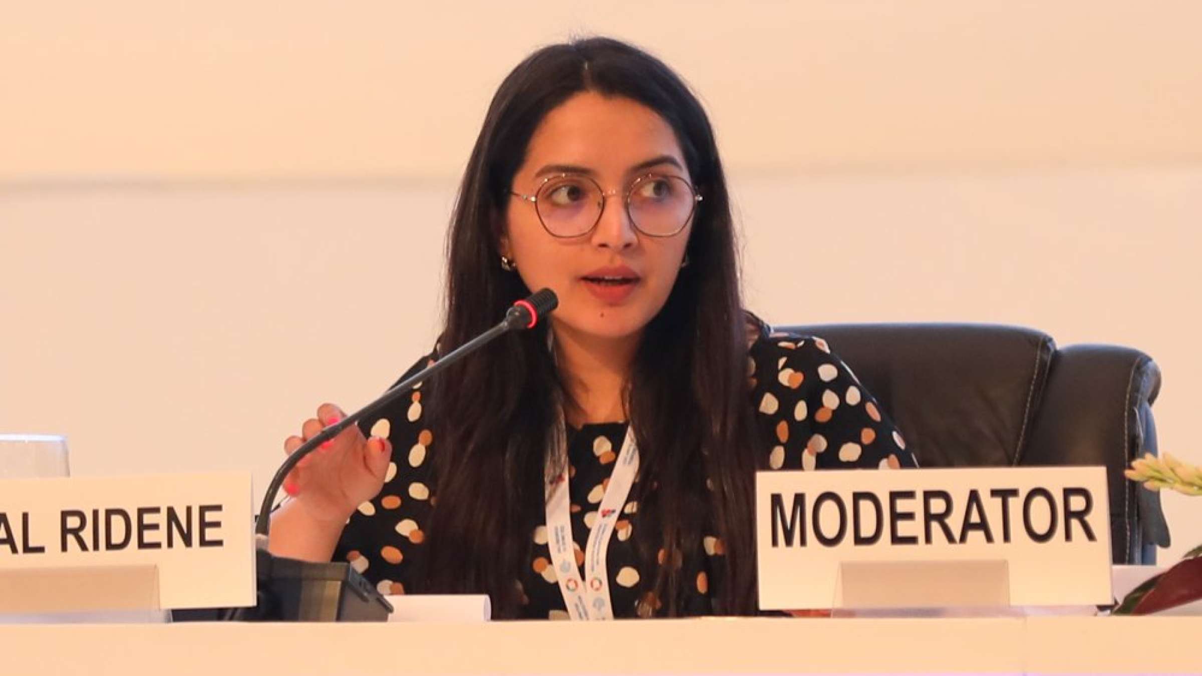 Amal Ridene, Young Climate Change Negotiator