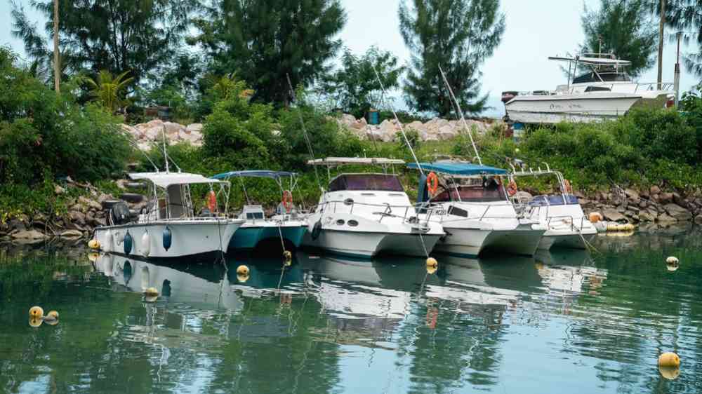 docked motor boats