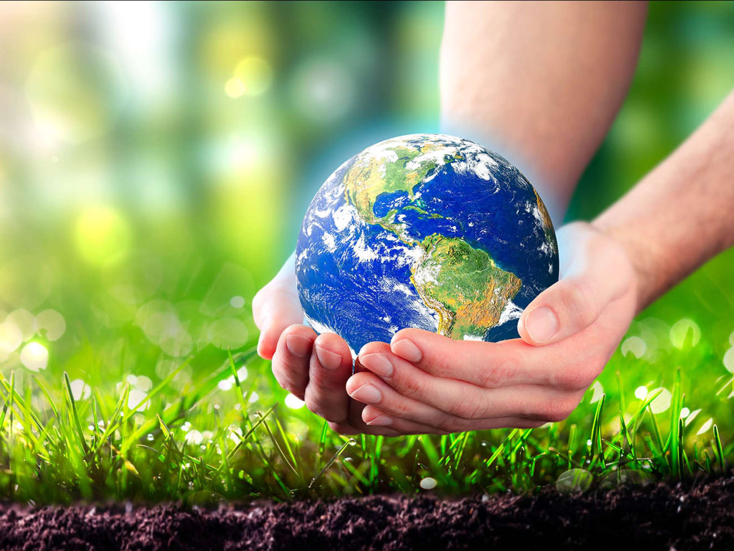 Hands Holding Planet Earth In Lush Green Environment With Soil And Sunlight