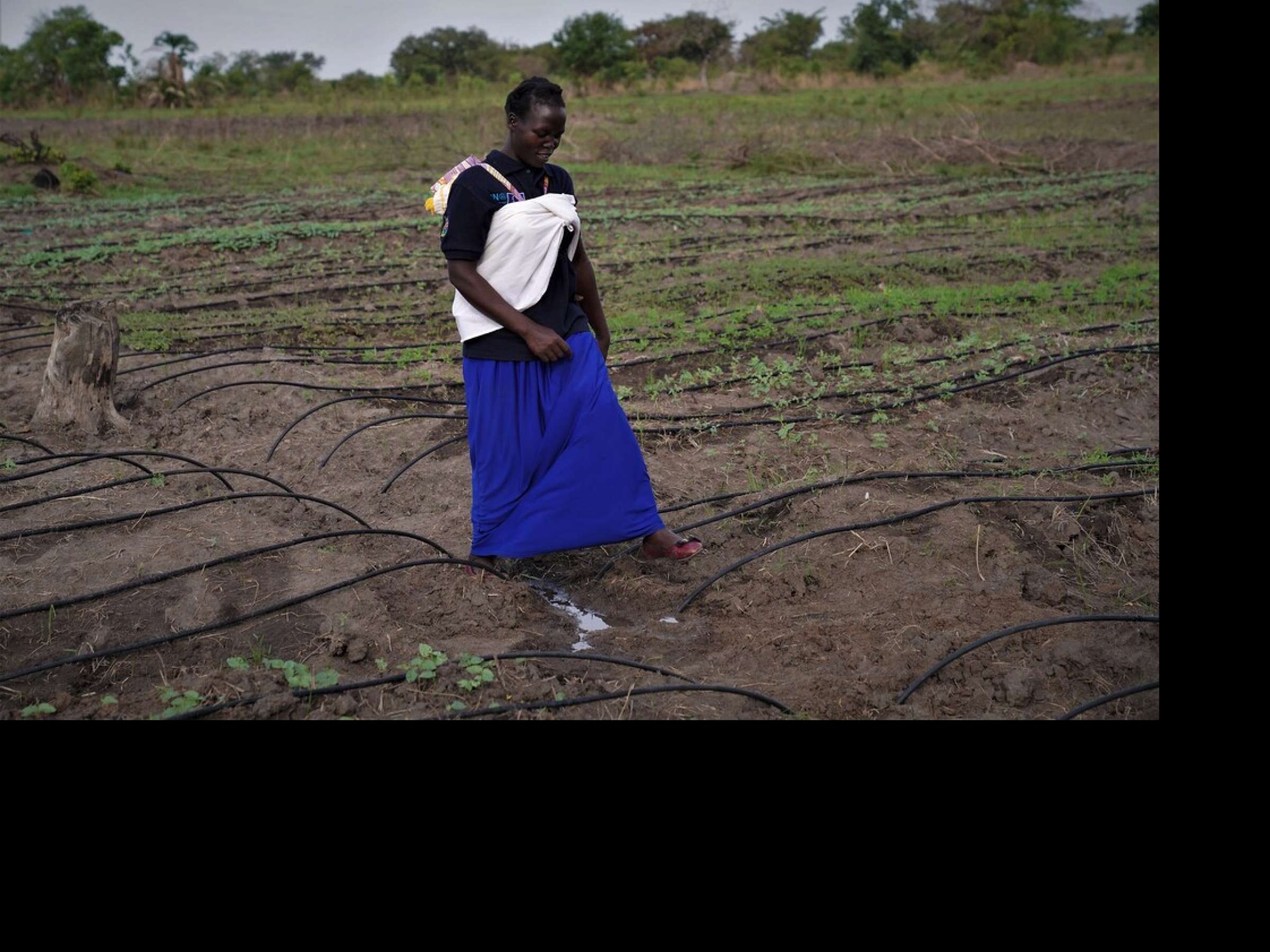 A woman walks through a field