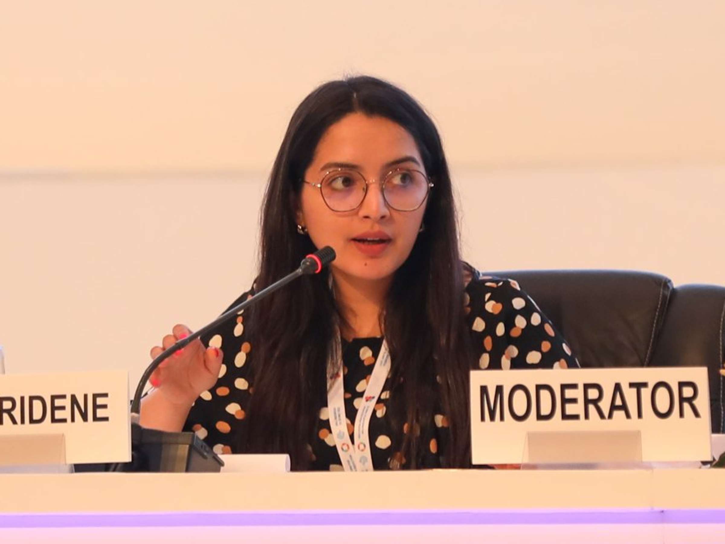 Amal Ridene, Young Climate Change Negotiator