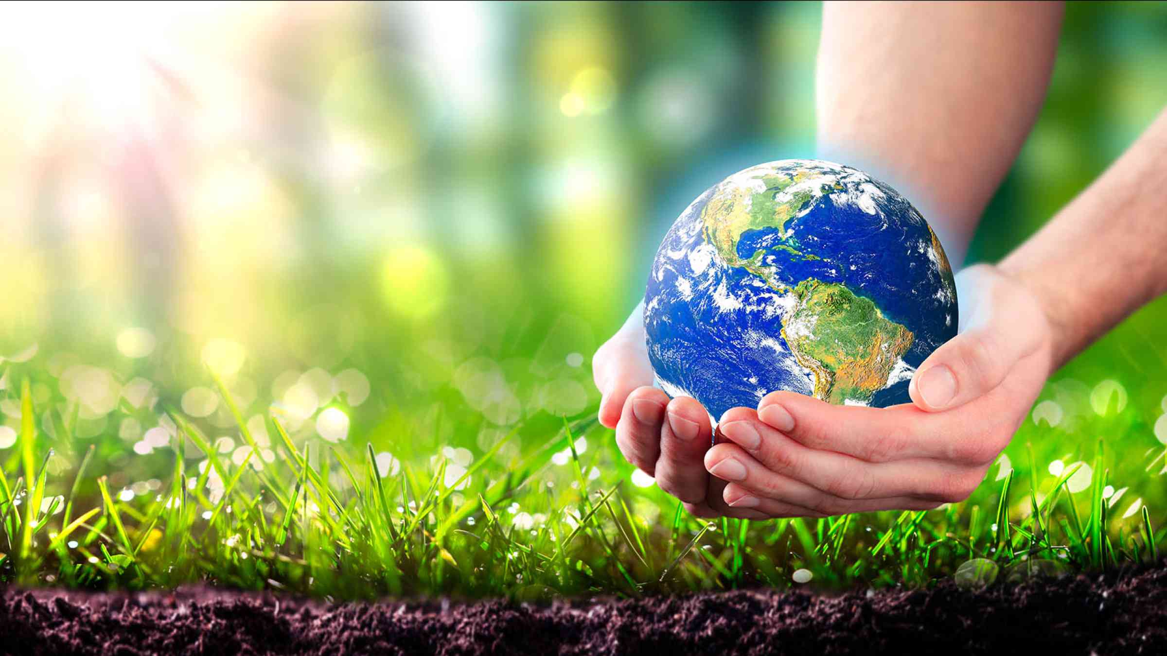 Hands Holding Planet Earth In Lush Green Environment With Soil And Sunlight