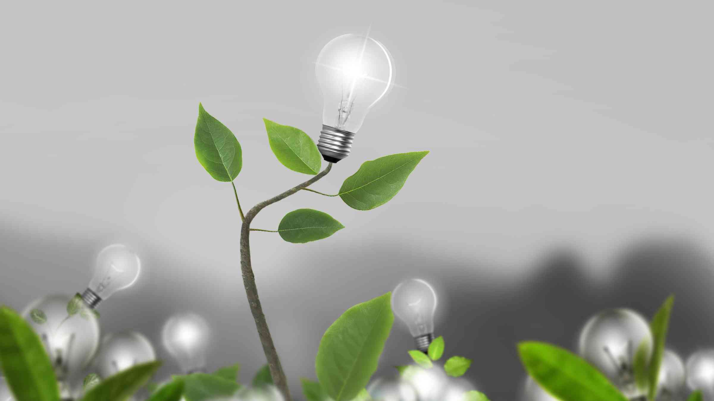Idea, light bulb Alternative energy concept