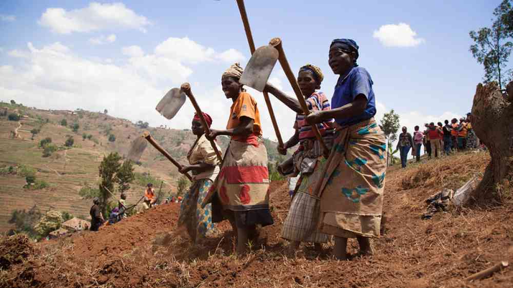 Two women creating terraces