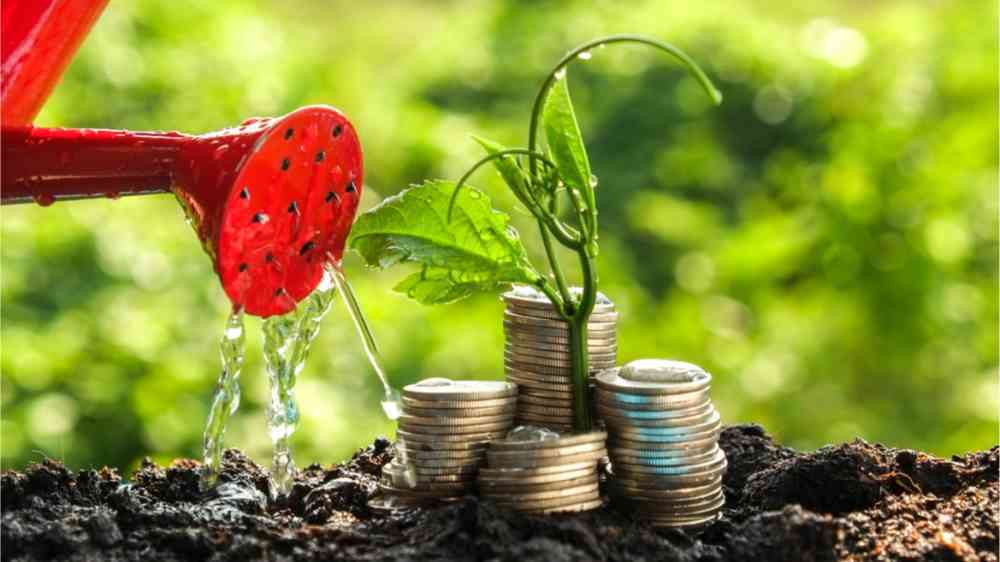 Image of money growing by watering