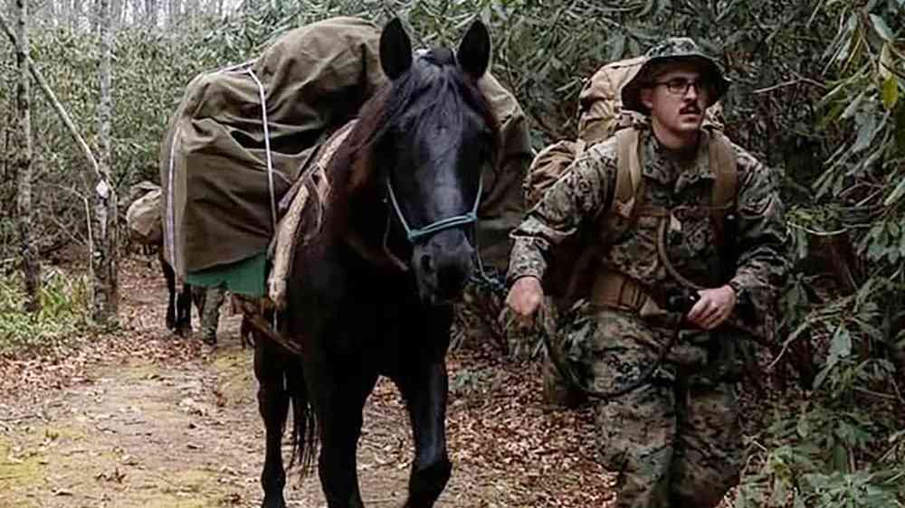 US guard with mule carrying suppliesc