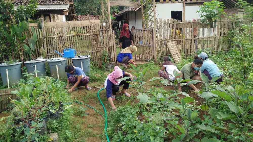 Women farmers tending their vegetable gardens