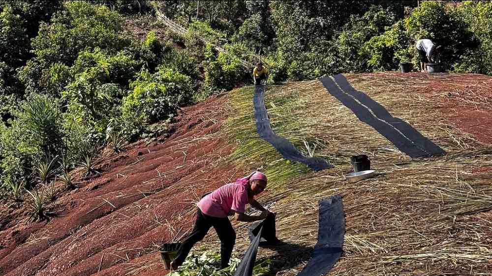person working on a hill