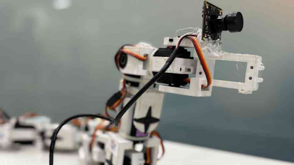 mobile camera robot